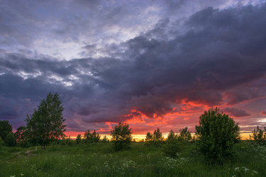 Similar image 16165525