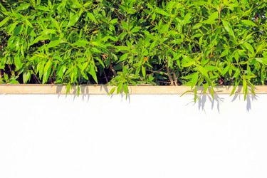 Similar image 15928196