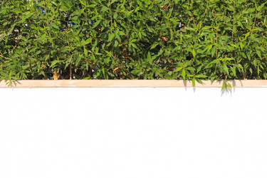 Similar image 15924963