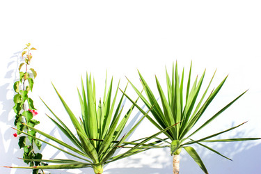 Similar image 15924964