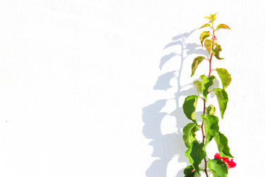 Similar image 15924966