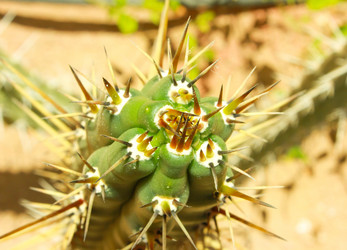 Similar image 15925221