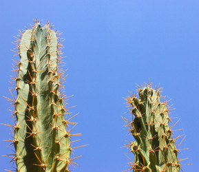 Similar image 15925225