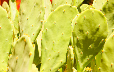 Similar image 15925226