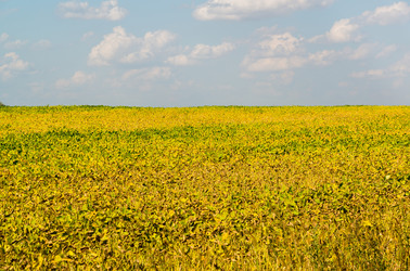 Similar image 16220919