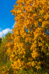 Similar image 16220921