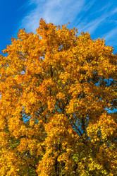 Similar image 16220930