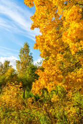 Similar image 16220934