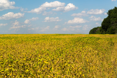 Similar image 16220941