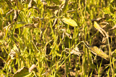 Similar image 16220952