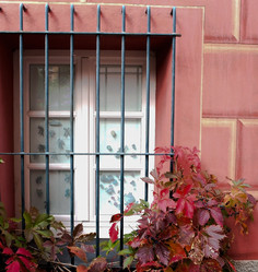 Similar image 16059247