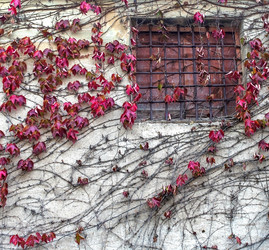 Similar image 16060688