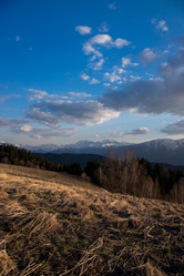 Similar image 15926924