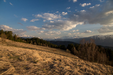 Similar image 15926950