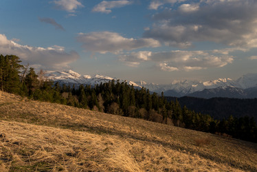 Similar image 15926908