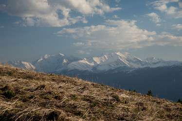 Similar image 15926915