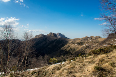 Similar image 15926916