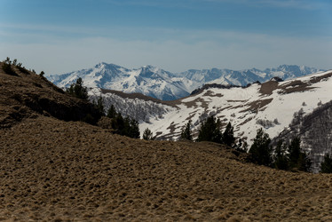 Similar image 15926936