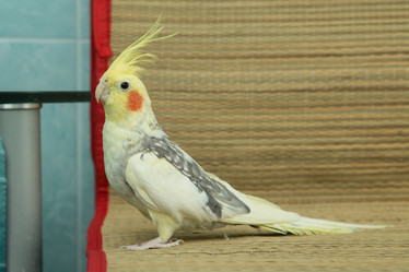 Similar image 15923833