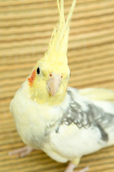 Similar image 15923839