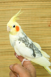 Similar image 15923840