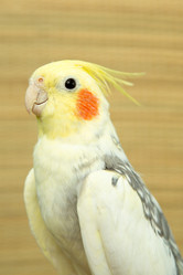 Similar image 15923848