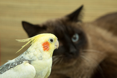 Similar image 15923854