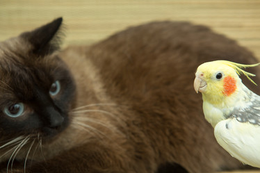 Similar image 15923862