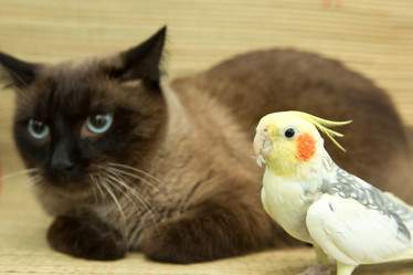 Similar image 15923858