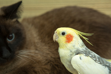 Similar image 15923859