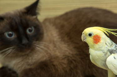 Similar image 15923861