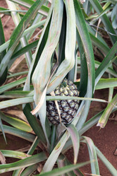 Similar image 15923726