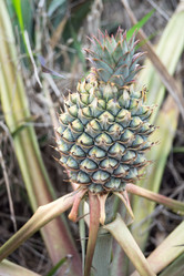 Similar image 15923727