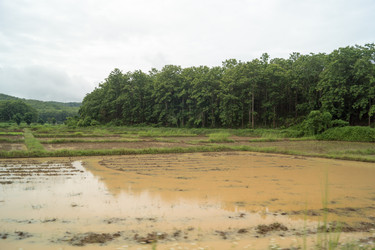 Similar image 15923666