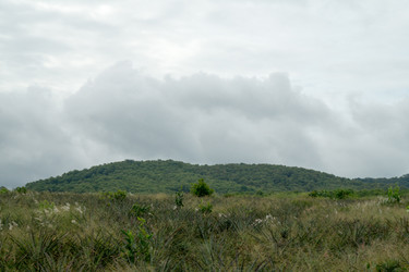 Similar image 15923728