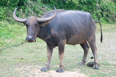 Similar image 15923679