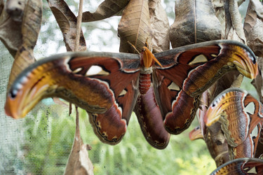 Similar image 15923732