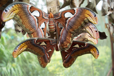 Similar image 15923759