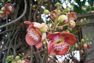 Similar image 15923627