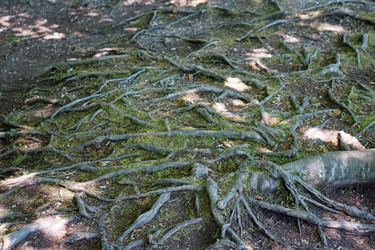 Similar image 15923646