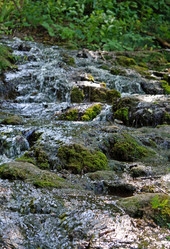 Similar image 15923653