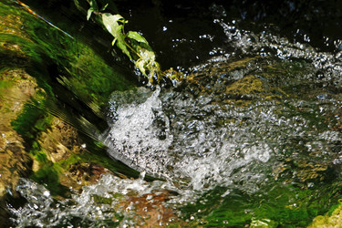 Similar image 15923708