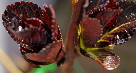 Similar image 15923629