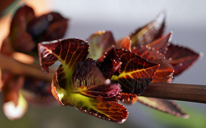 Similar image 15923656