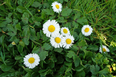 Similar image 15923660