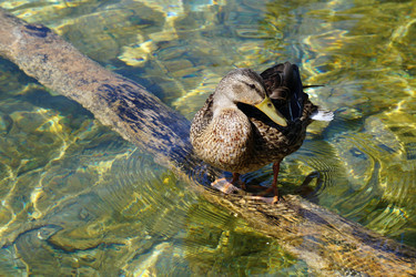 Similar image 15923713