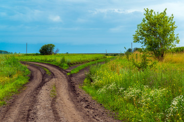 Similar image 16221007