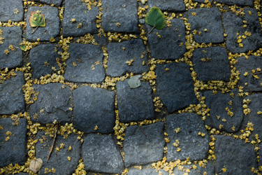 Similar image 15926372