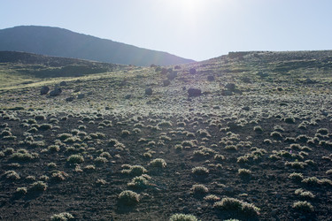 Similar image 16224405