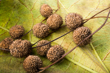 Similar image 15926305